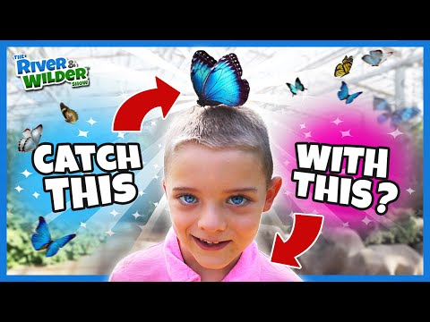 KIDS BUTTERFLY CHALLENGE ...and we eat bugs?