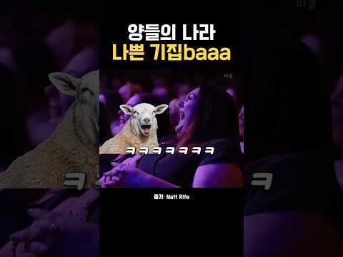 양들의 나라에 사는 나쁜 기집baaa~🐑