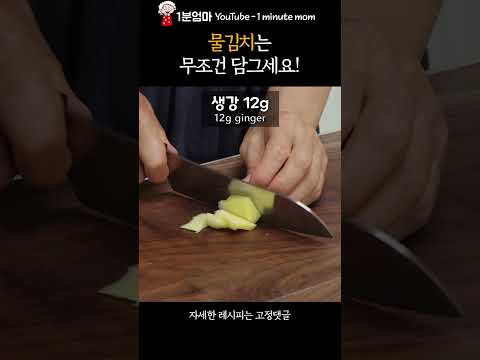 물김치는 무조건 많이 담그세요! #shorts