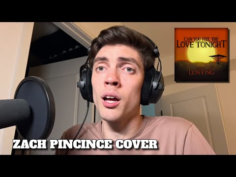 Can You Feel the Love Tonight (Elton John) | Zach Pincince Cover