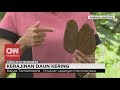 Crafting Success: The Journey of Nani's Dry Leaf Business