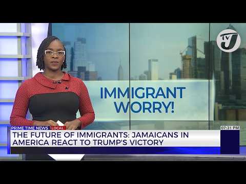 The Future of Immigrants: Jamaicans in America React to Trump's Victory | TVJ News