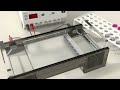 Gel Electrophoresis Concepts and Techniques