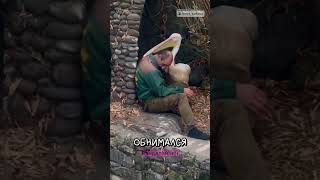 Трогательные объятия пеликана и человека 🤗