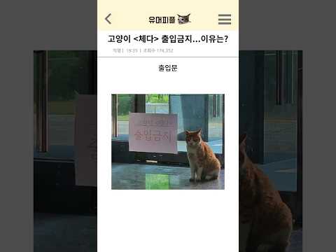 고양이 체다 출입금지...이유는?