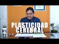 Vista Previa En Miniatura