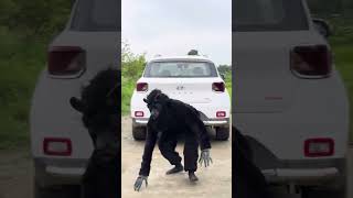 Hoshiyari padi bhari | Vijay Kumar Viner