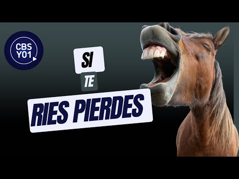 SI TE RIES PIERDES, A QUIEN VAS A RETAR