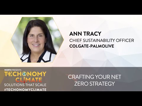 Crafting Your Net Zero Strategy with Ann Tracy