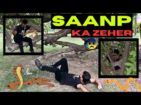 Snake bite vs Human fear | Saanp ne kaat liya kya kare | Shalini varun