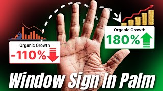 Window sign in palmistry। बहुत बड़ा धन आने वाला है। Rishabhji The Palmist 