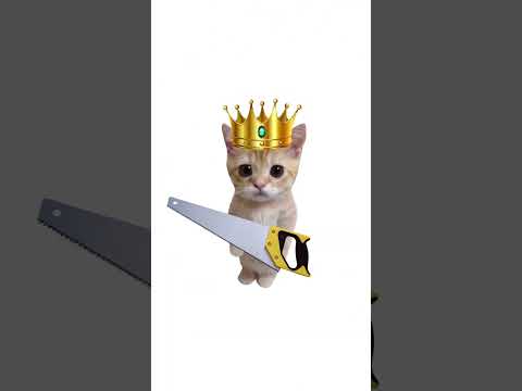 Как работает эффект икеа? Кисы объясняют 😻