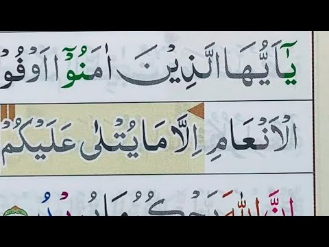 NGAJI SURAH AL-MAIDAH AYAT 1-31