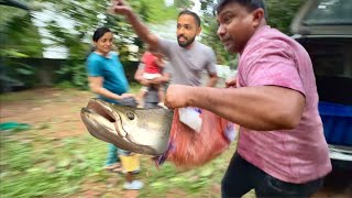 ചത്ത അരപൈമ തിരിച്ചു വന്നു!! | Our New Giant Arapaima 