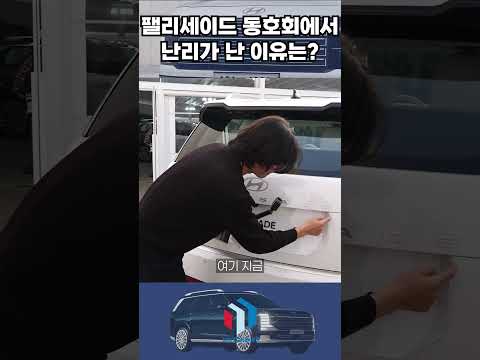 현대차 팰리세이드 뜬금 투-톤 컬러? || 동호회에서 난리가 난 이유