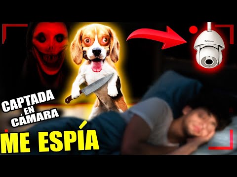 VIDEOS CON HISTORIAS MUY ATERRADORAS 💀 Encontre estos Skinwalkers a las 3 am