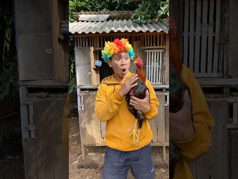 GAGAL TARUNG || #shorts #comedy #ngeshortsdulu #funny #kocak #lucu #youtubeshorts #ngakak