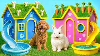 Una Casa De Color Desafío para Mascotas | Desafío Loco Multi DO Smile