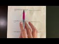 Chemical and Physical Changes in Matter