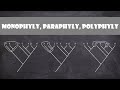 Phylogenetic Grouping Concepts