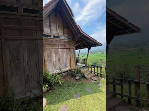 Tak Disangka‼️Rumah Kayu Pinggir Sawah, Ruangannya Bintang Lima di Samarang Garut  #SuasanaPedesaan
