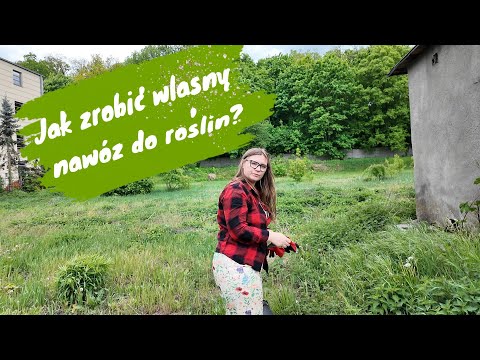 Jak zrobić własny nawóz z pokrzyw?