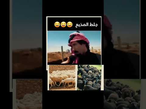 🔥يا ساترر وش صار وليش 🤯اتحداك اذا ما تضحك😂#ترند #hamooz #اكسبلور #دويتو #ضحك #funny #يارب #تيك_توك