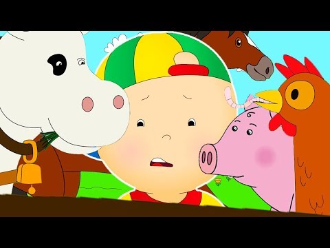 Caillou en Español | Caillou y los Animales de la Granja | Dibujos Infantiles Capitulos Completos