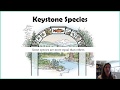 Ecosystem Dynamics and Keystone Species