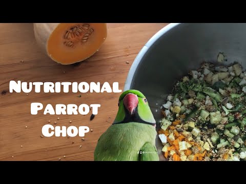 Nutritional and delicious parrot salad. How to prepare parrot chop