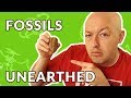 Exploring Fossils and Earth's Rock Layers