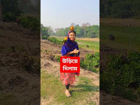 পাখি দুইটা কে খোলা আকাশে উড়িয়ে দিলাম 🥰🥰🥰