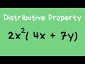 Understanding Exponents and Expressions