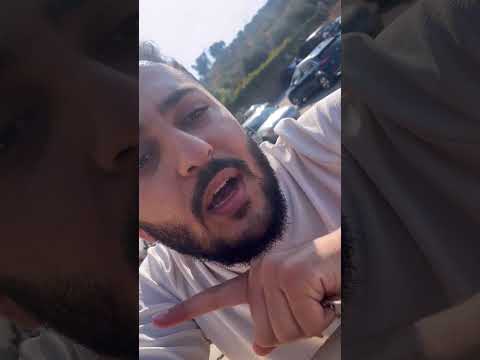 موسم الزيتون