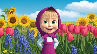 🌷 Poder das Meninas 🎀 Dia Internacional da Mulher 🎀 TaDaBoom Português 👧🐻 Masha e o Urso