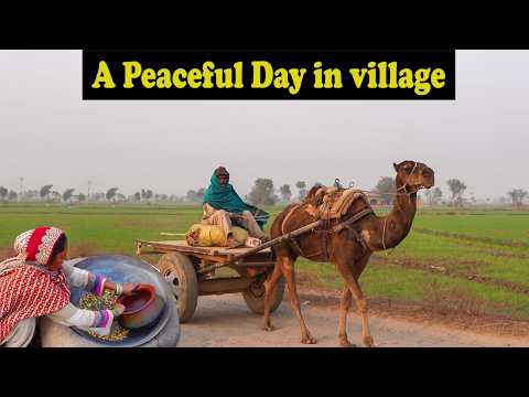 Village Life the Best Lifestyle | Villages of Punjab Pakistan