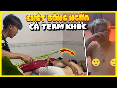 Vlog | Quý11N Chơi Khăm Chét “ Bông Ngứa “ LBG Khiến Cả Team Phát Khóc !?
