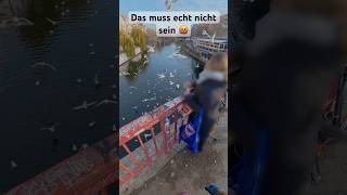 Möwen füttern verboten! 🚫 #gebrüderlange #magnetfischen #verboten