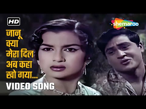 Janu Kya Mera Dil Ab Kaha Kho Gaya | Ziddi (1964) | Joy Mukherjee, Asha Parekh | Mohammed Rafi