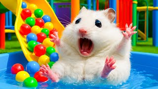 🐹Amazing Hamster Escapes the Pool Ball Rainbow - Hamster Maze