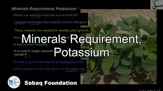 Minerals Requirement, Potassium
