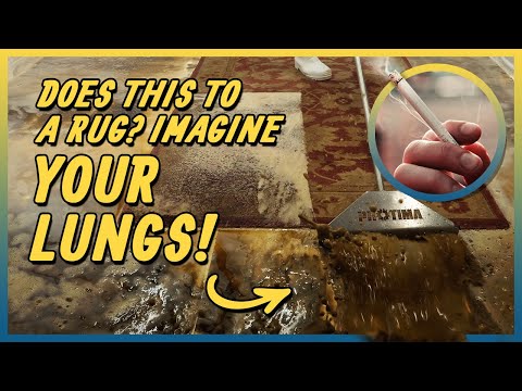 Revealing The Beauty Beneath : Tobacco-Stained Carpet Restoration | Must-See ASMR Rug Cleaning !