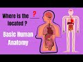 Basic Anatomy with Pat