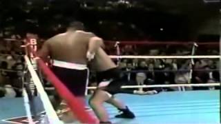 tommy morrison knockouts