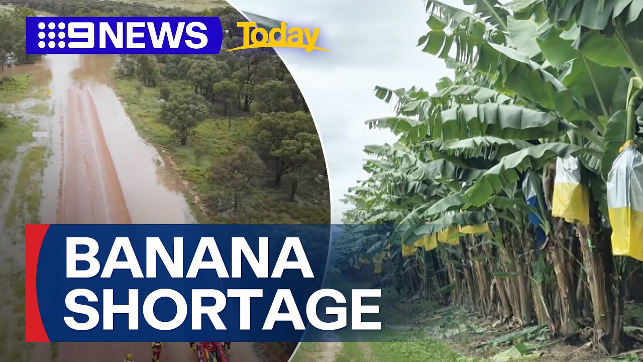 Australia warned of banana shortage amid Queensland floods | 9 News Australia