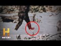 Understanding Sasquatch Footprints