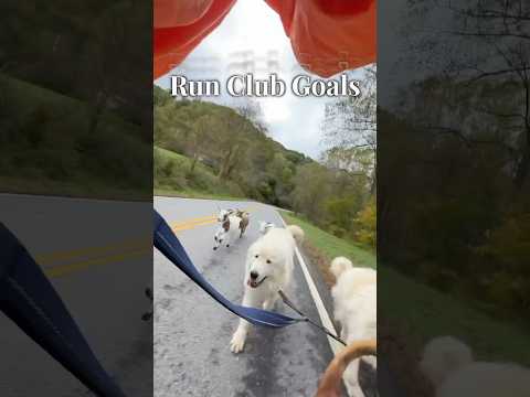 I guess I run with goats now 🐐 #funnyanimals #running #babygoats #hobbyfarm