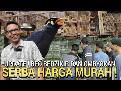 PASAR BURUNG ! UPDATE PAGI BURUNG MURAH OMBYOKAN BEO NGOMONG DI PASAR BURUNG PRAMUKA HARI INI