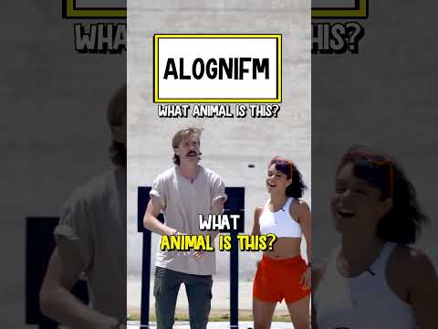 What Animal Is This? 10 #shorts
