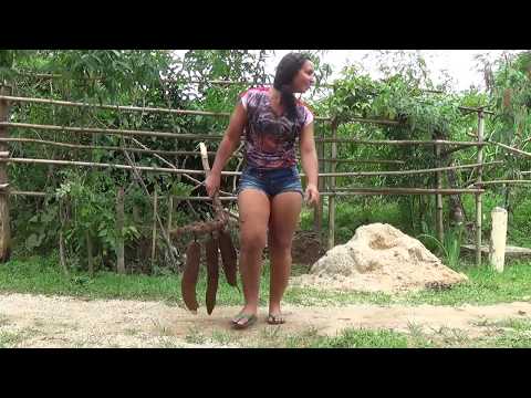 COLHENDO AIPIM E FAZENDO UMA GOSTOSURA PRA VCS!